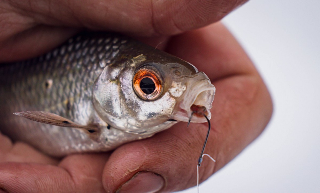 Куда ехать на рыбалку ранней весной  00005.JPG